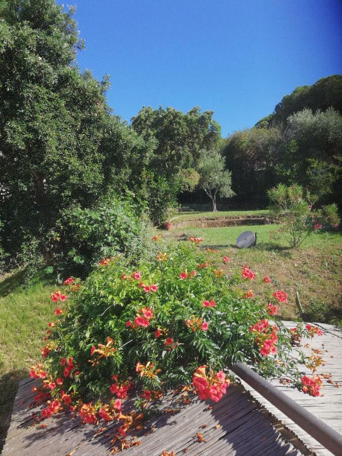 Rosa Dei Venti Villa Procchio  Exterior photo